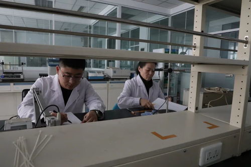九三食品公司 每一滴都是放心油，研發與技術轉讓引領健康新食尚